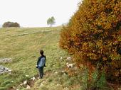 04 Ammiriamo il panorama